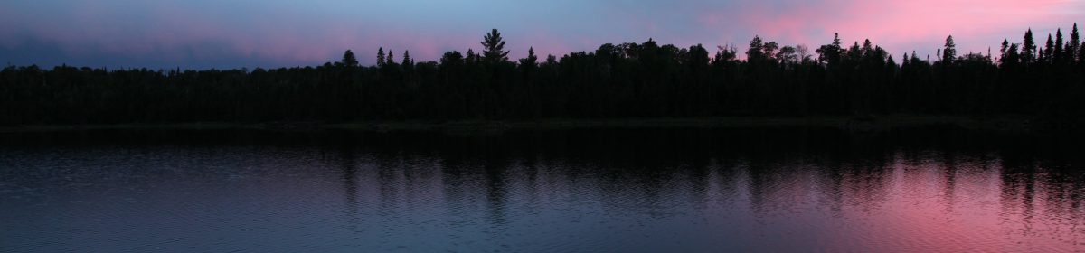 themillionacrewoods.com